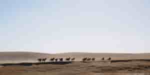 Mongolia